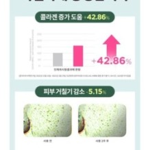 CKD Guaranteed - Retino Collagen Small Molecule 300 Collagen Skin Toner