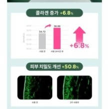 CKD Guaranteed - Retino Collagen Small Molecule 300 Cream