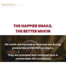 KSECRET - SEOUL 1988 Cream : Snail Mucin 93% + Rice