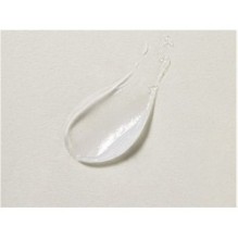 Torriden - SOLID IN Ceramide Lip Essence