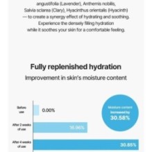 Torriden - DIVE-IN Low Molecular Hyaluronic Acid Soothing Cream