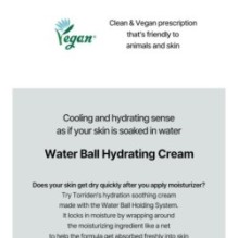 Torriden - DIVE-IN Low Molecular Hyaluronic Acid Soothing Cream Mini