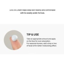 Torriden - DIVE-IN Low Molecular Hyaluronic Acid Cream