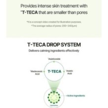 Torriden - Balanceful Cica Serum Mini