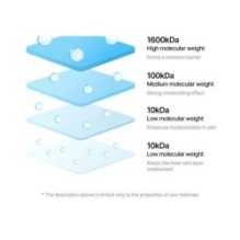 Torriden - DIVE-IN Low Molecule Hyaluronic Acid Skin Booster