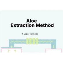 COSRX - Aloe 54.2 Aqua Tone-Up Sunscreen