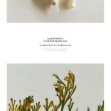 Abib - Collagen Eye Crème Jericho Rose Tube