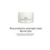 Abib - Rice Probiotics Overnight Mask Barrier Jelly