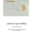 Abib - Jericho Rose Bifida Serum Firming Drop
