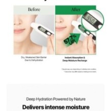 JMsolution - Be Nature Mask Set - 6 Types