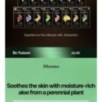 JMsolution - Be Nature Mask Set - 6 Types