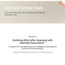 Anua - Heartleaf Quercetinol Pore Deep Cleansing Foam