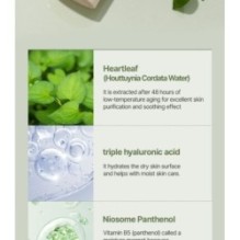 JMsolution - Heartleaf Pore Clay Mask