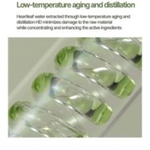 JMsolution - Heartleaf 88 Toner Pad