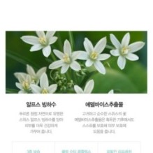 JMsolution - Edelweiss Glacier Water Alps Mask Set Snow