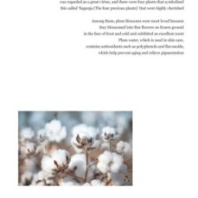 Beauty of Joseon - Apricot Blossom Peeling Gel