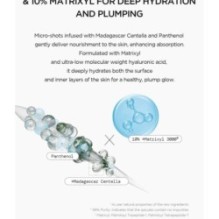 SKIN 1004 - Lab in Nature Madagascar Centella Matrixyl 10 Boosting Shot Ampoule