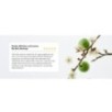 Beauty of Joseon - Green Plum Refreshing Cleanser