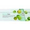 Beauty of Joseon - Green Plum Refreshing Toner: AHA + BHA