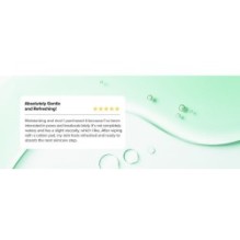 Beauty of Joseon - Green Plum Refreshing Toner: AHA + BHA