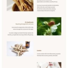 Beauty of Joseon - Hanbang Serum Discovery Kit