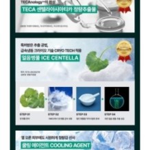 Centellian24 - Madeca 2X Tightening Ampoule Pad Refill Only