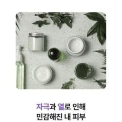 Centellian24 - Madeca Real Green Pore Pad