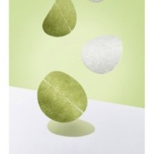 Centellian24 - Madeca Real Green Pore Pad