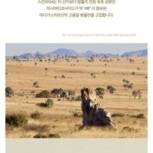 SKIN 1004 - Madagascar Centella Ampoule Kit