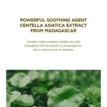 SKIN 1004 - Madagascar Centella Asiatica 100 Ampoule