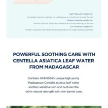 SKIN 1004 - Madagascar Centella Hyalu-Cica Blue Serum Mini