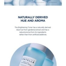 SKIN 1004 - Madagascar Centella Hyalu-Cica Brightening Toner