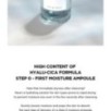 SKIN 1004 - Madagascar Centella Hyalu-Cica First Ampoule
