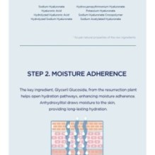 SKIN 1004 - Madagascar Centella Hyalu-Cica Hydrating Mask