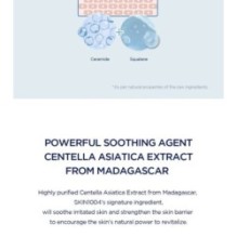 SKIN 1004 - Madagascar Centella Hyalu-Cica Hydrating Mask