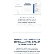 SKIN 1004 - Madagascar Centella Hyalu-Cica Silky-Fit Sun Stick