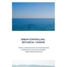 SKIN 1004 - Madagascar Centella Hyalu-Cica Silky-Fit Sun Stick Mini