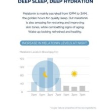 SKIN 1004 - Madagascar Centella Hyalu-Cica Sleeping Pack Mini