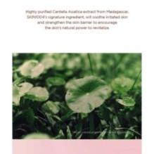 SKIN 1004 - Madagascar Centella Poremizing Quick Clay Stick Mask