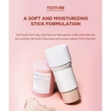 SKIN 1004 - Madagascar Centella Poremizing Quick Clay Stick Mask