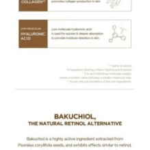 SKIN 1004 - Madagascar Centella Probio-Cica Bakuchiol Eye Cream Twin Pack Set