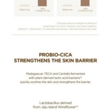 SKIN 1004 - Madagascar Centella Probio-Cica Intensive Ampoule