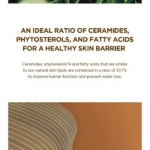 SKIN 1004 - Madagascar Centella Probio-Cica Intensive Ampoule