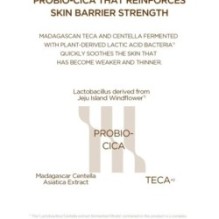 SKIN 1004 - Madagascar Centella Probio-Cica Nourishing Mask Set