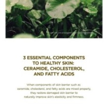 SKIN 1004 - Madagascar Centella Soothing Cream