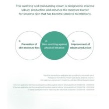 SKIN 1004 - Madagascar Centella Tea-Trica B5 Cream