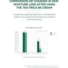 SKIN 1004 - Madagascar Centella Tea-Trica B5 Cream