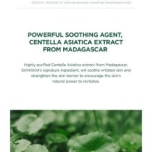 SKIN 1004 - Madagascar Centella Tea-Trica B5 Cream