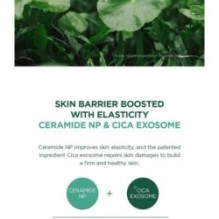 SKIN 1004 - Madagascar Centella Tea-Trica B5 Cream