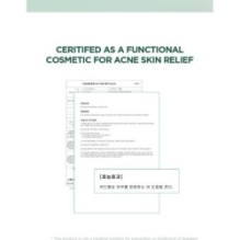 SKIN 1004 - Madagascar Centella Tea-trica BHA Foam